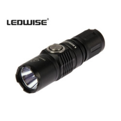 Ledwise Saint
