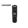 Ledwise Saint Ledwise Saint