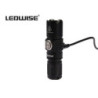 Ledwise Saint Ledwise Saint