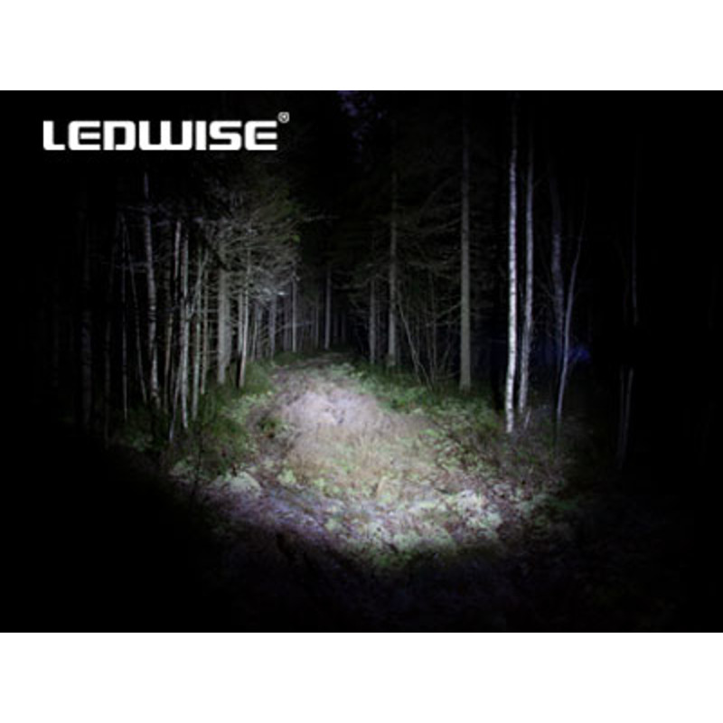 Ledwise Saint