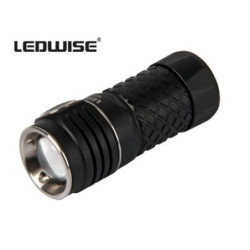 Ledwise Rogue