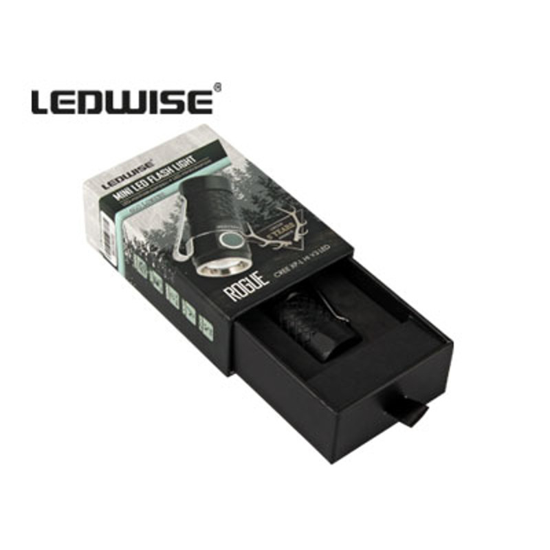Ledwise Rogue