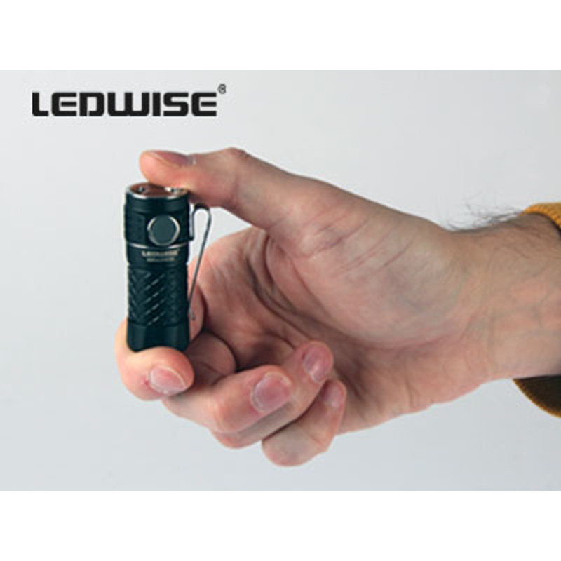 Ledwise Rogue