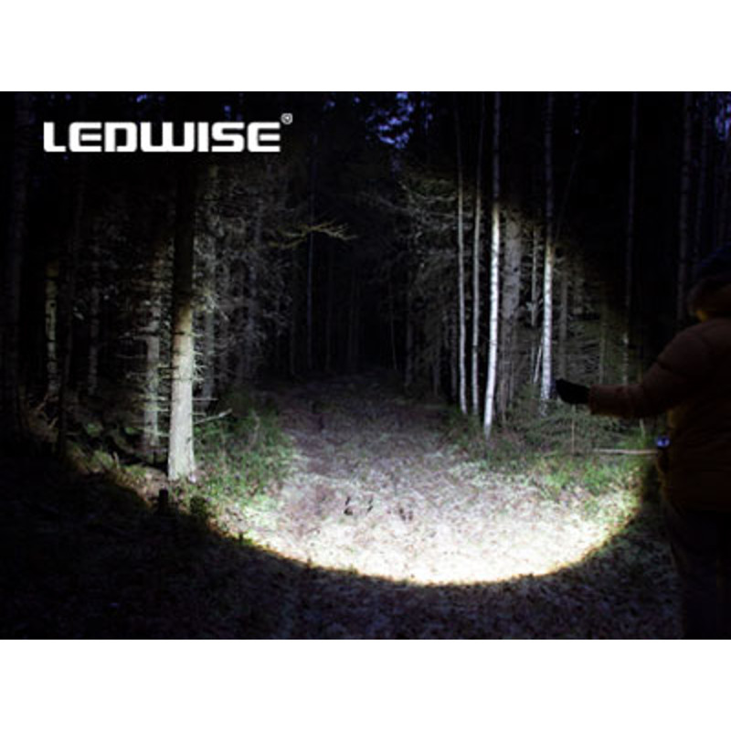 Ledwise Rogue
