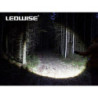 Ledwise Rogue Ledwise Rogue
