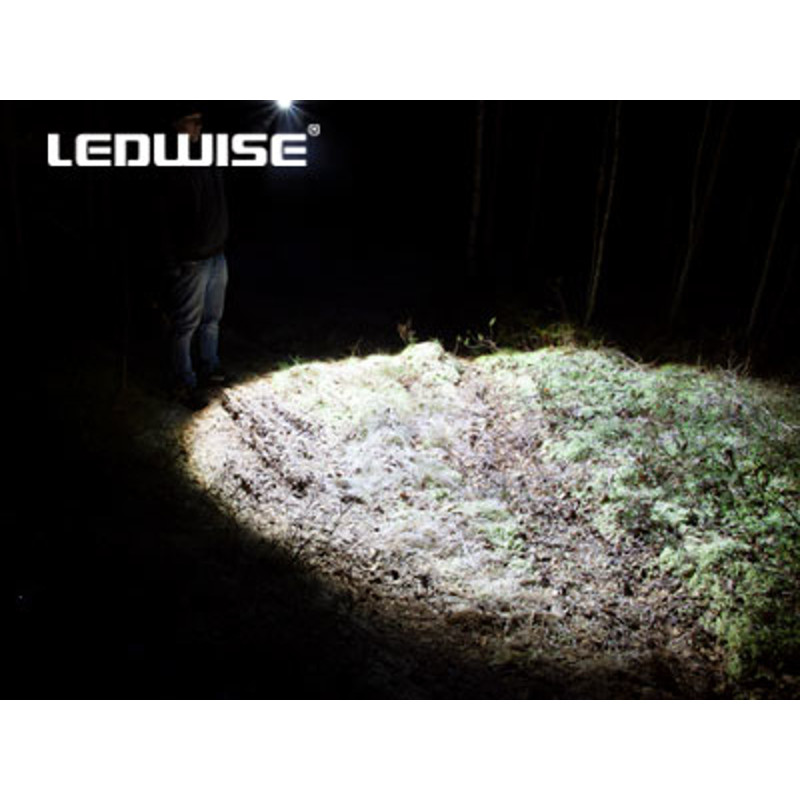 Ledwise Rogue