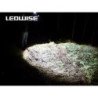 Ledwise Rogue Ledwise Rogue