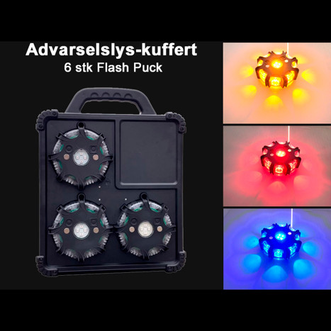 LED skildpadder i kuffert - 3 lysfarver